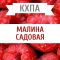 КХПА - Малина садовая 10мл