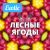 Exotic ЛЕСНЫЕ ЯГОДЫ 10мл