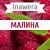 Inawera Малина