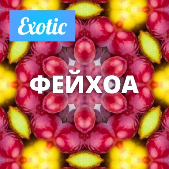 Exotic ФЕЙХОА 10мл