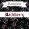 Hangsen Blackberry 10 мл