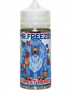 Mr.freeze - Forest berry Mr.freeze - Forest berry
