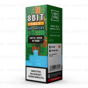 8 Bit On Ice Salt - Мята Хвоя Ягоды