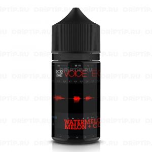 Voice Pod Salt - Echo Voice Pod Salt - Echo