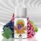 Grape - Essence Tobacco Salt
