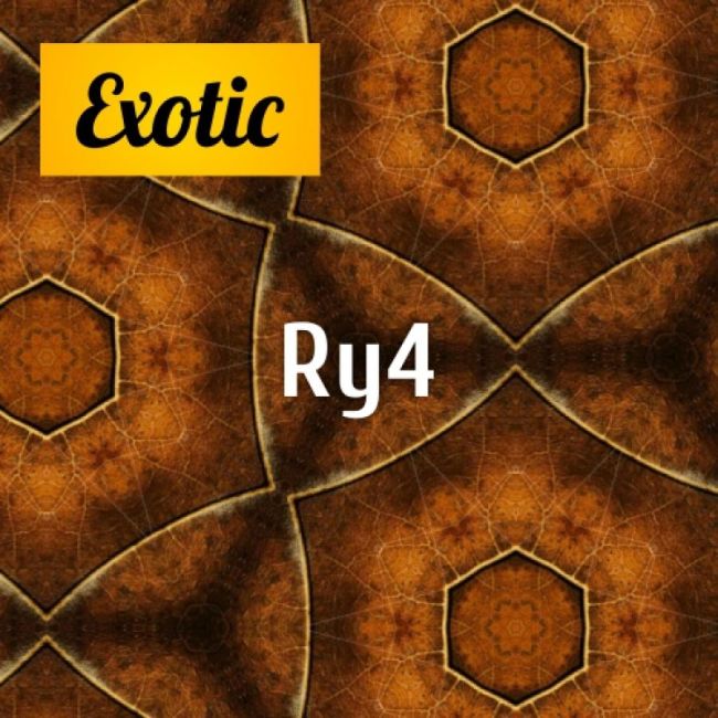 Exotic RY4 10мл Exotic RY4 10мл