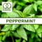Ароматизатор TPA Peppermint