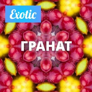 Exotic ГРАНАТ 10мл Exotic ГРАНАТ 10мл